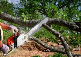 Best Organic Lawn Care Solutions  in West Haverstraw, NY