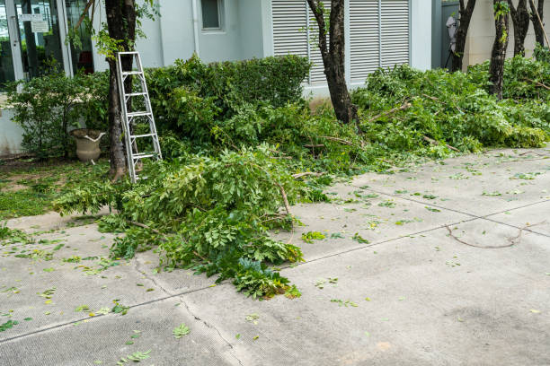 Best Aeration Services  in West Haverstraw, NY
